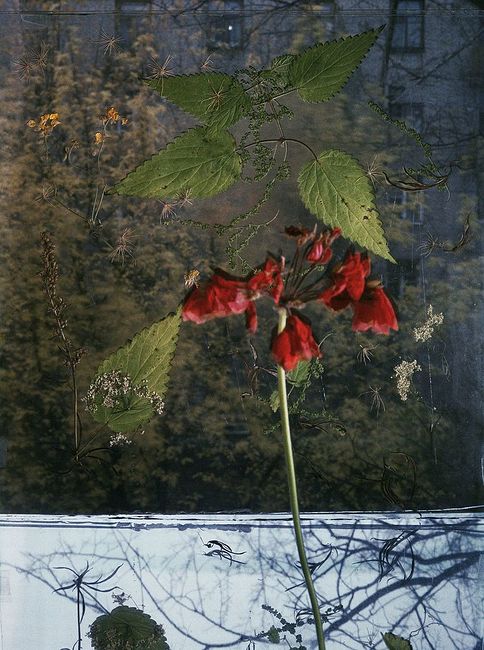 Nikolai Kulebyakin. Window. 1993