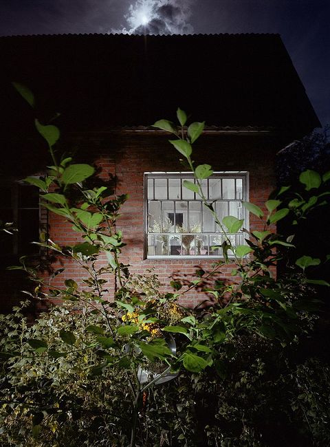 Nikolai Kulebyakin. Window. 1992